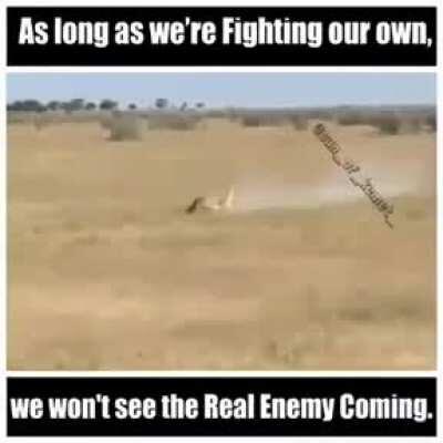 As long as we're fighting our own, we won't see the Real Enemy Coming.