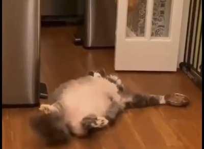 My level of laziness