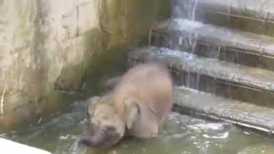 Lil guy testing the waters of life