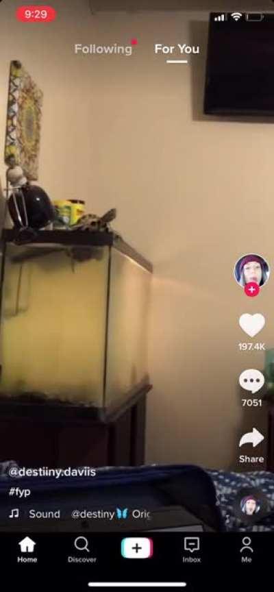 Judging by the water quality, he was probably better off anyway.