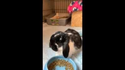 Zealan and Thomas ❤️🥺