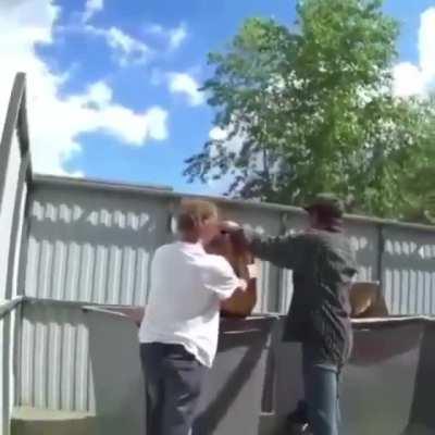 Hold my bottle of overfermented wine