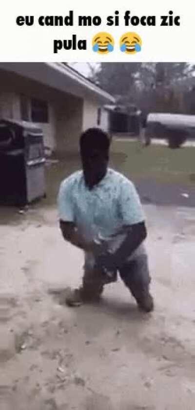 mo si foca be like ::