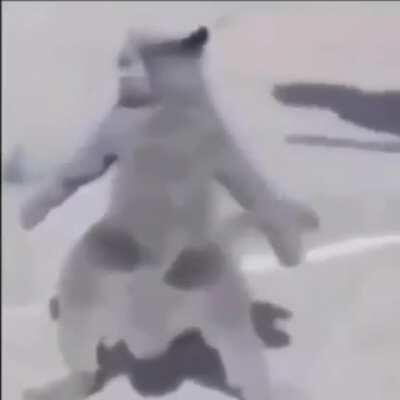 un vídeo random para aparecer en el vídeo del viejas