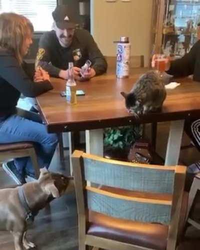 When keeping it real goes wrong