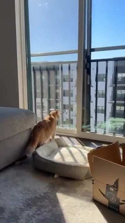 The short answer is yes.