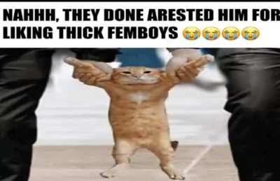 Free da car he don do noting wrong 😭