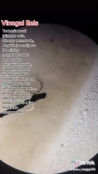 sawsawan ng fishball