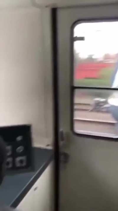 Nada mejor que las carreras detrenes en el Ferrocarril Roca