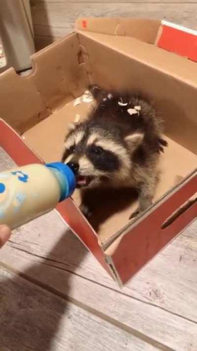 You better get away from me.. oh wait