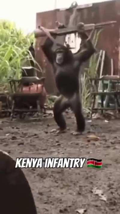 Don't mess with Africa 😤