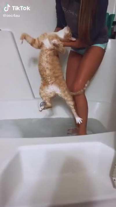 If you wanna see some WAP