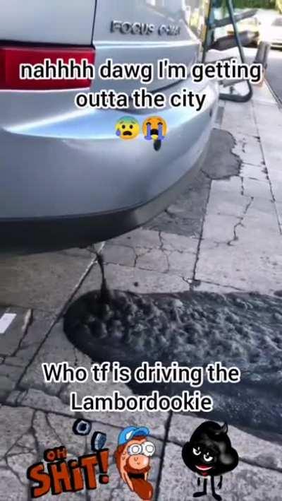 Yuor lambordookie is: damn shidding 