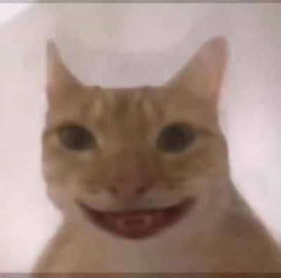 When haces tus momos en video