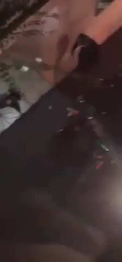Security Forces beating an iranian protester to death.
