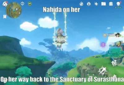 What Nahida's swing is actually used for