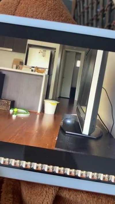Hey guys, I’ve been having some weird things happening around the house, so I left my iPad to film when I left the house. Opinions on the glitch?