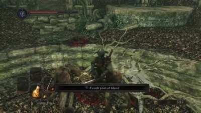 Caught soneone dirty dogging.