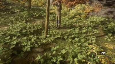 [TheHunter: CotW] Hol' up, let me do a jig before dying.