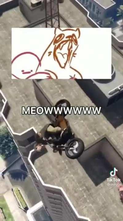 His cat got some really bad issues