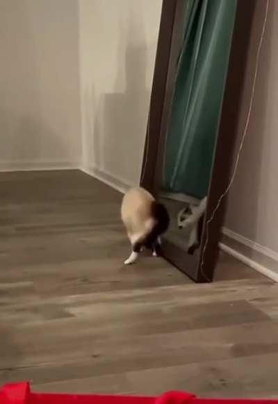 You want a piece of me huh COME ON LET'S GO