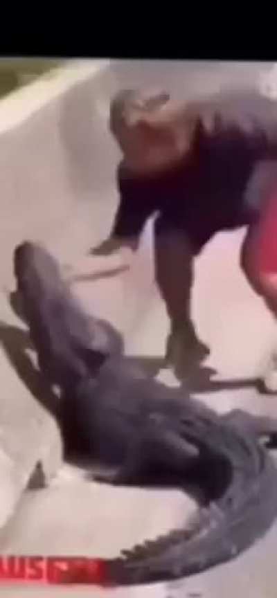 MC tries to intimidate crocodile