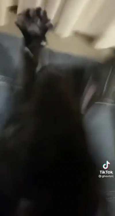 This was too good not to share