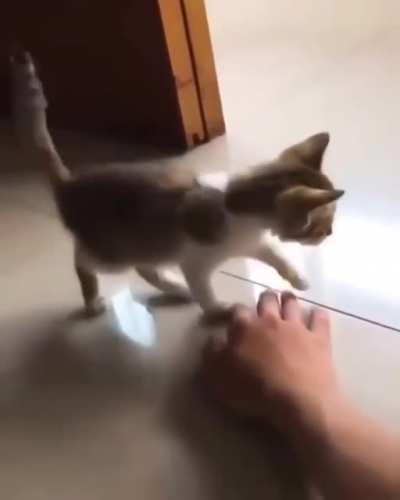 When life just makes you flop