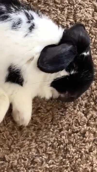 I’m just going to leave this here.