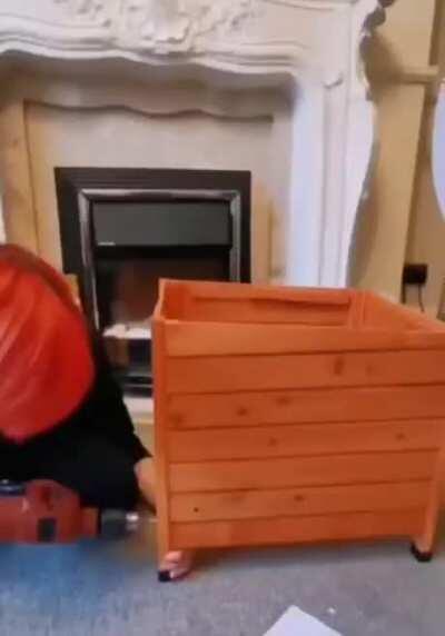 Becoming friends with a stray cat