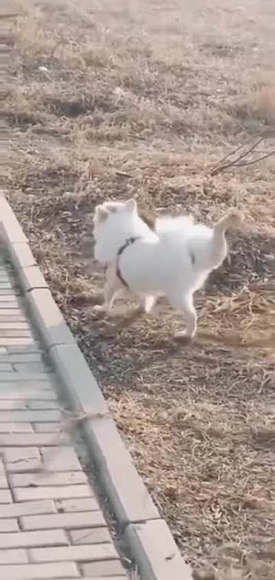 He’s just doing his exercise