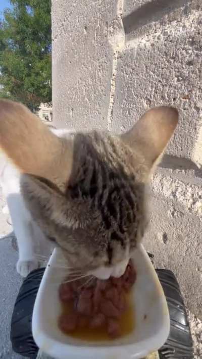 Thank you for your service