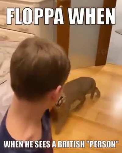 damn bruh you live like dis