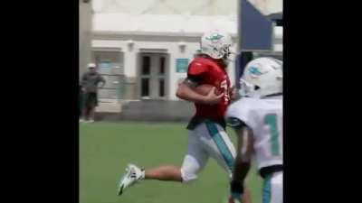 Why the Dolphins have the brightest future in the NFL