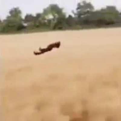 I’m 15 and this is yeet