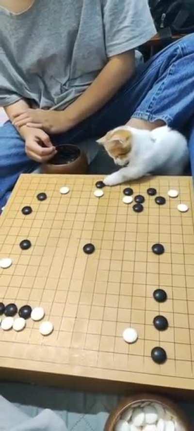 I'm white, how do I counter this move?