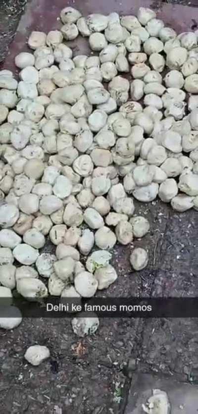 dolma aunty ......who?