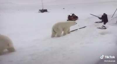 Severe Soviet TikTok