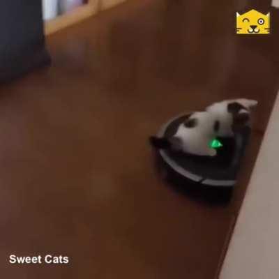 kITTen gEtS aTTacKed aNd kIDNappEd BY EvIL roBot
