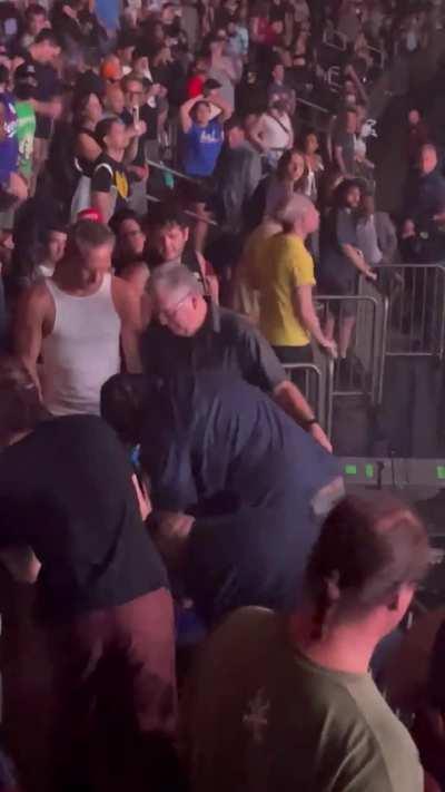 Let me try to punch a massive security guard in the face