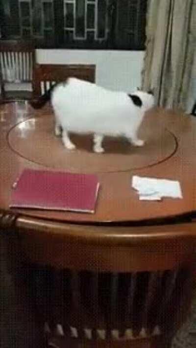 HMC, I'm almost there.