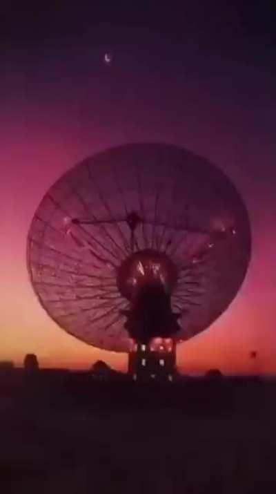 Wanna see everything?