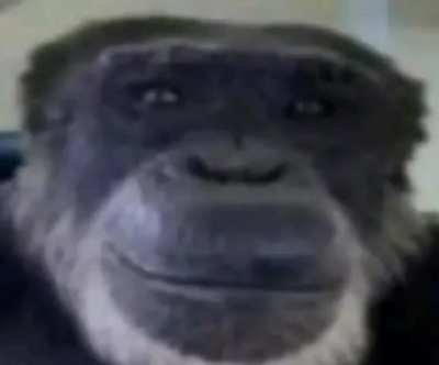 baldibackten bir mesaj