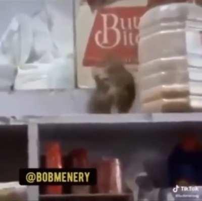 Guess the city. I would say Baltimore