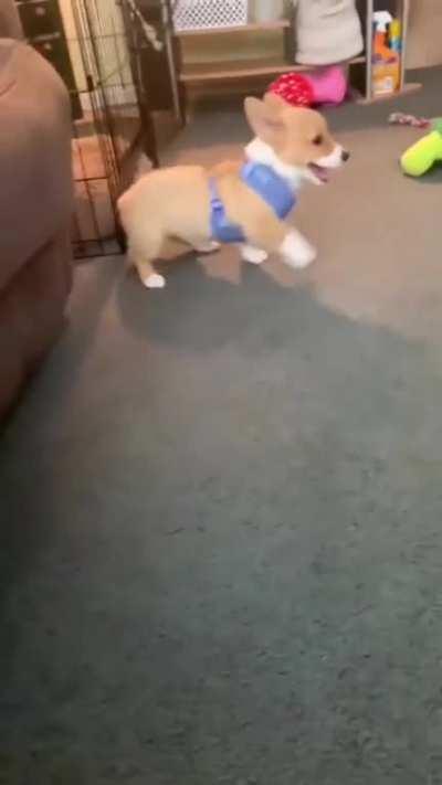 I've been hit! I've been hit!... man's down.. argghh~~