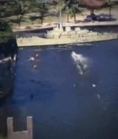 Slip'N Slide Battleship