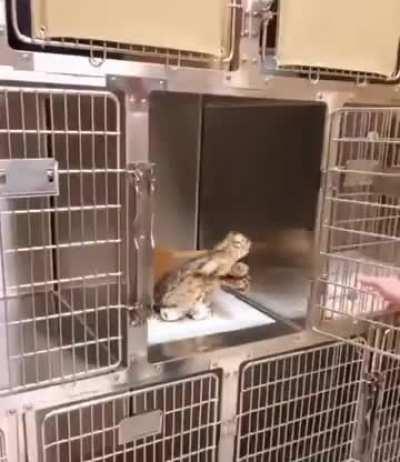 just woke up from anesthesia