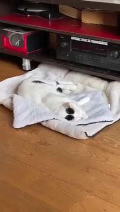 Clearly not the first time this has happened