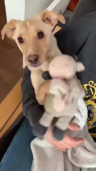 That looks tells his soul.