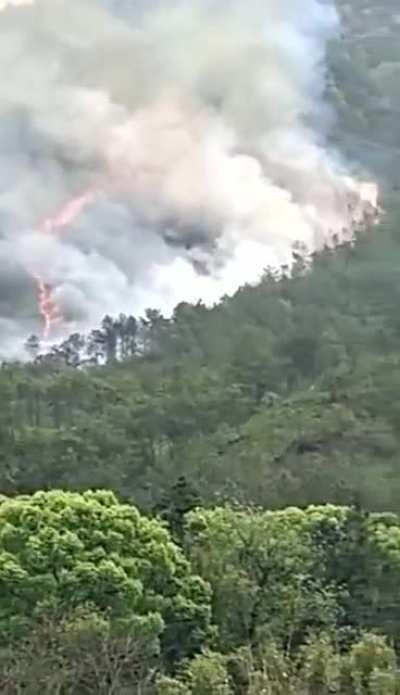 Smoldering wreckage from China Eastern flight MU5735